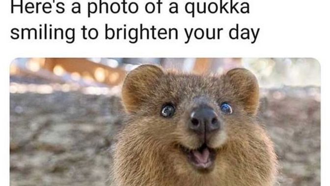 How was your day today?