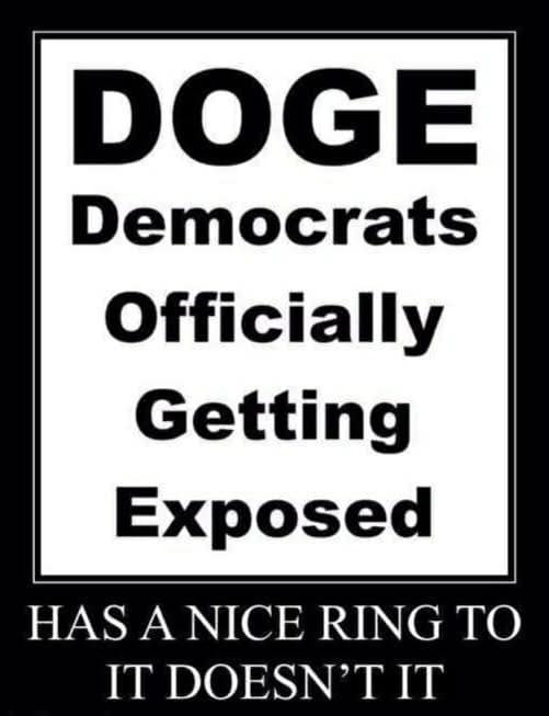 The Democratic Party’s approval ratings have hit record lows following their 2024 election losses. What do you think is the main reason?