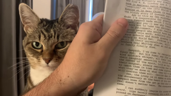 Cat owners Do you think you can successfully read a book while your cat stares at you like this?