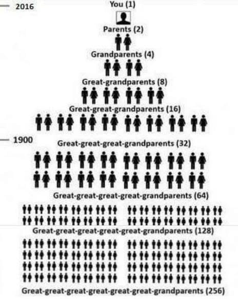 If you were to research a family tree or you are beginning to start building a family tree where would you begin to start from?