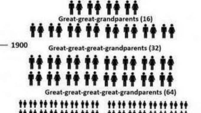 If you were to research a family tree or you are beginning to start building a family tree where would you begin to start from?