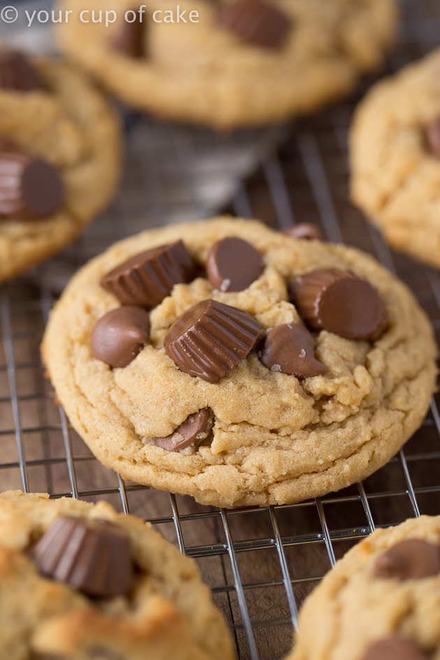 Which cookie are you reaching for first ?