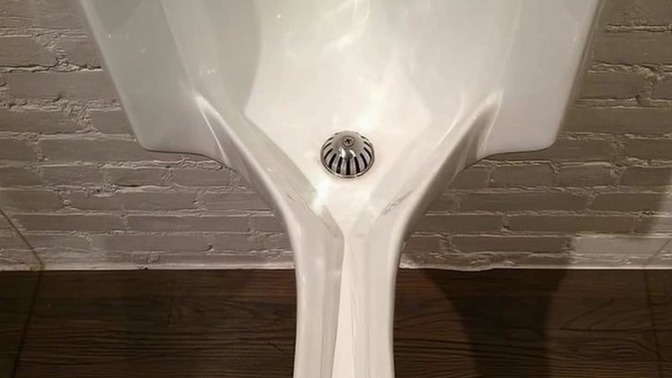 Have you ever seen a female urinal?