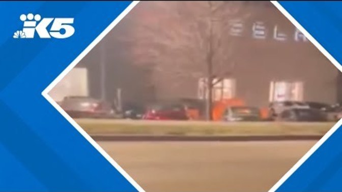 What do you think of Tesla Dealerships being vandalized?