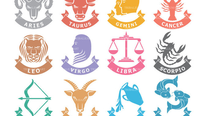 Which zodiac signs do you really get along with?