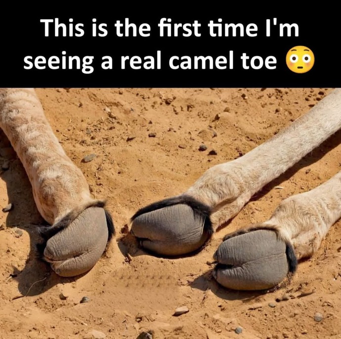 Have you seen real carmel toe?