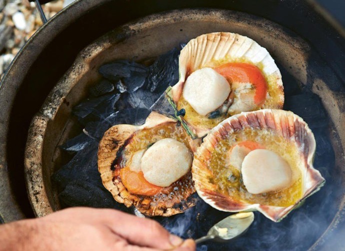 Which is the best bivalve shellfish?