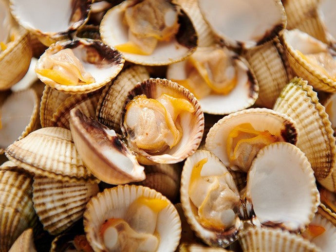 Which is the best bivalve shellfish?