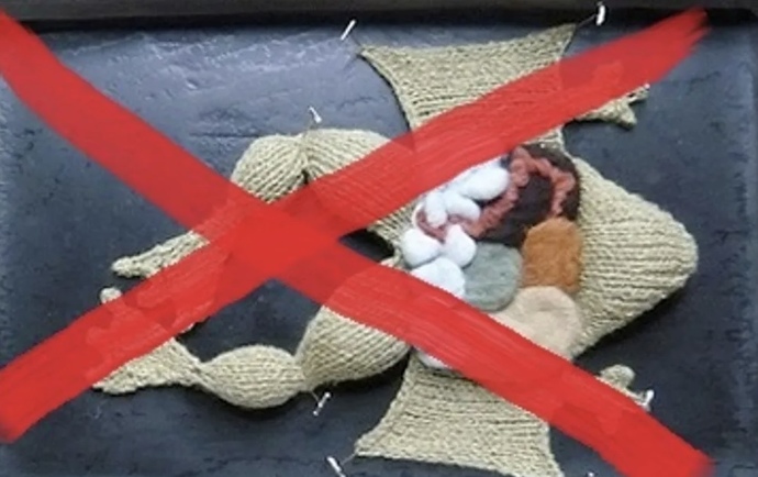 Should dissection of lab raised animals be banned from Schools/Colleges?