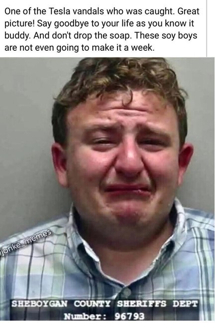 This is one of the Tesla terrorists that was caught. Does he still look tough to you?