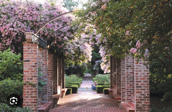 Which scenery would be the best for a proposal?