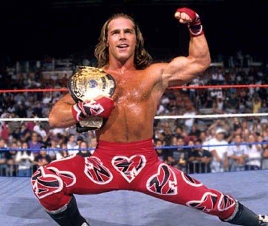 WWE :The attitude era poll? Favorite wrestler?