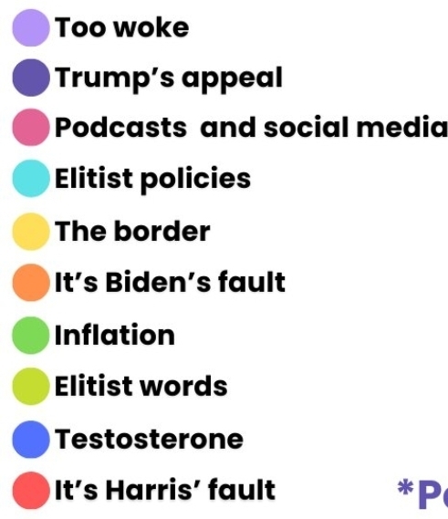 Which theory best explains the USA Democrats identity crisis? Which are the TOP 3 reasons? Twitter leftist had 30K vote & I wanna compare here?
