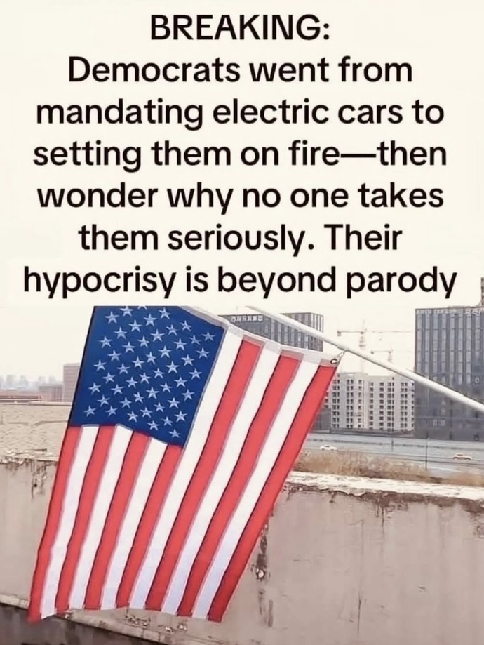 Which theory best explains the USA Democrats identity crisis? Which are the TOP 3 reasons? Twitter leftist had 30K vote & I wanna compare here?