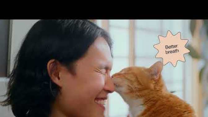 Do you think Oscar is a cute kitty?
