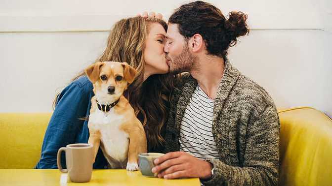 How important is the element of physical attraction in successful romantic relationships?