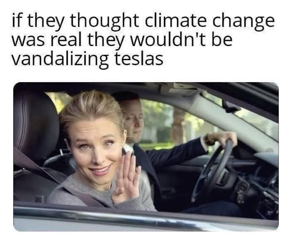 What are your thoughts on people destroying Teslas?