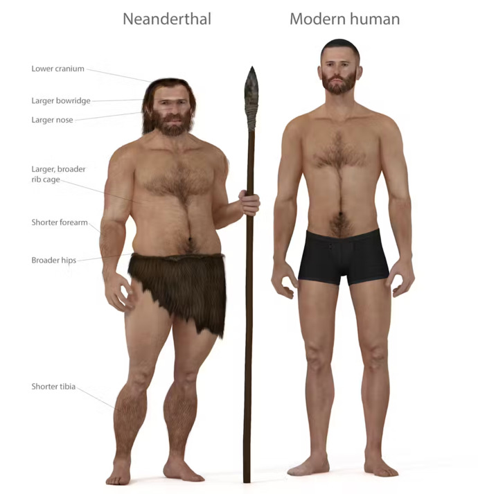 Early humans mated with Neanderthals! Would modern humans ever do that?