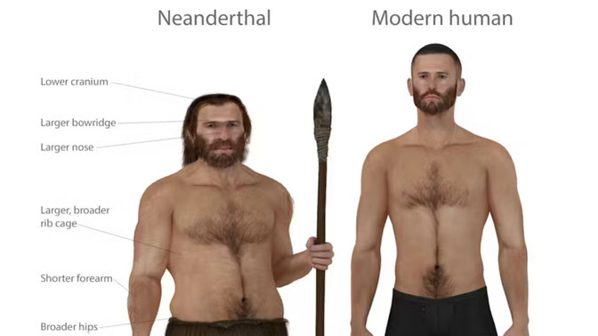 Early humans mated with Neanderthals! Would modern humans ever do that?