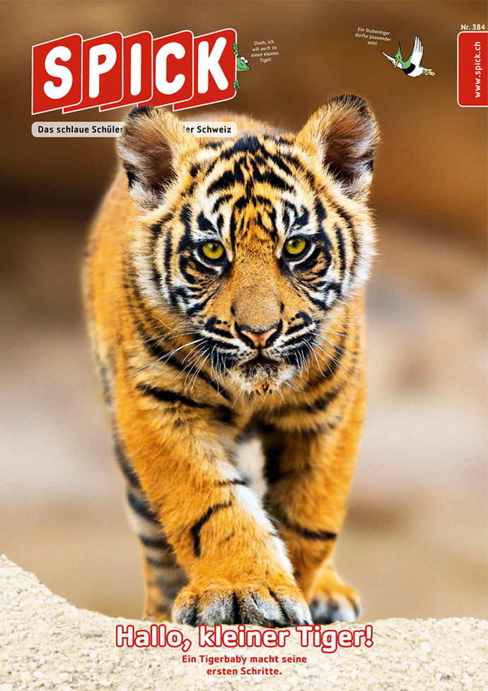 Do you subscribe to any magazines? Which ones?