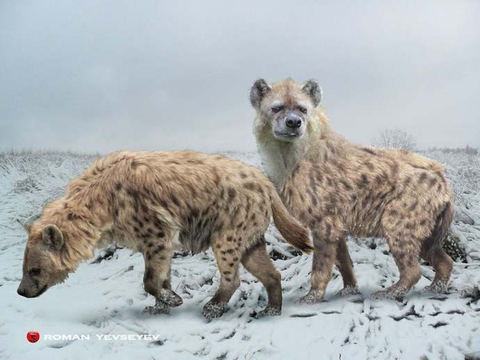 What was the most terrifying Ice Age Predator?