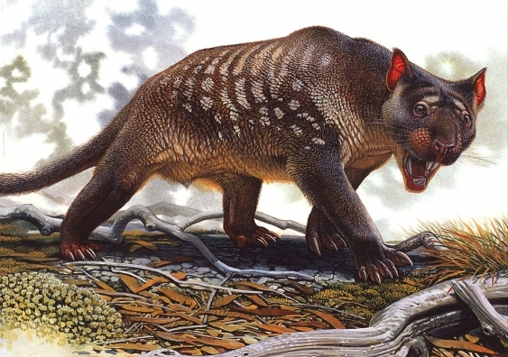 What was the most terrifying Ice Age Predator?