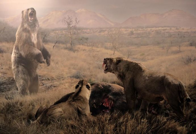 What was the most terrifying Ice Age Predator?