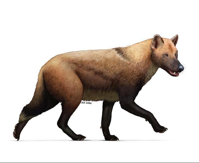 What was the most terrifying Ice Age Predator?