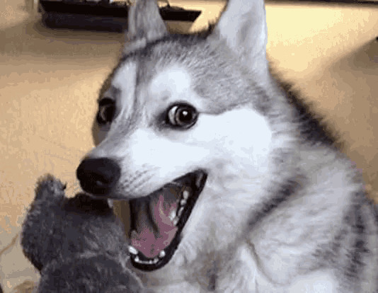 Do you have broken humor? If so, what is something stupid that has made you laugh?