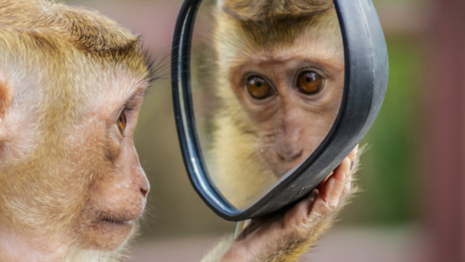 A wizard will change ONE thing about your appearance/body. What do you choose?