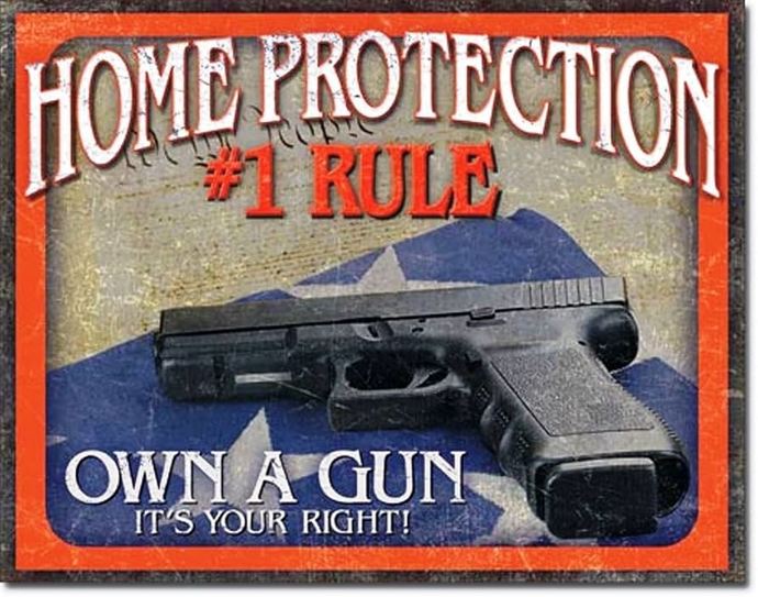 If you have a family with a wife and children, would you own a gun just in case for protection over you and your family at home?