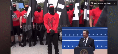 Do you like Elon Musk?