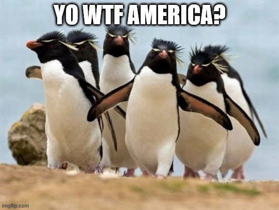 What did the poor penguins on this isolated island off of Antarctica do to deserve this?