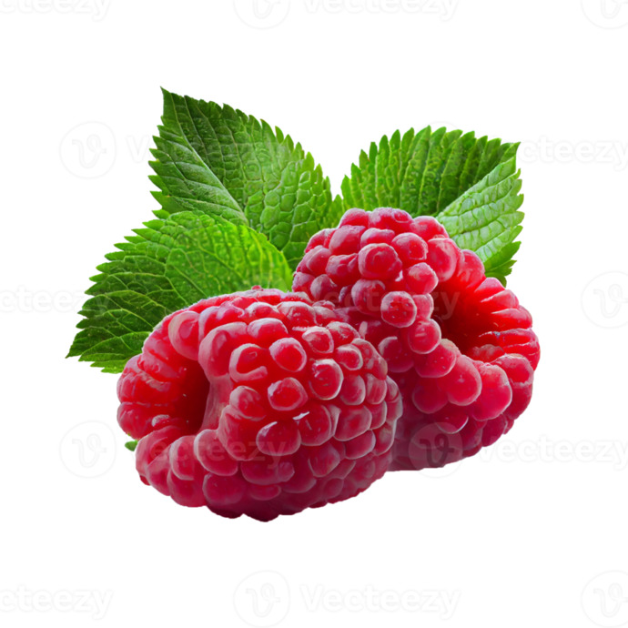 What are your favorite berries?