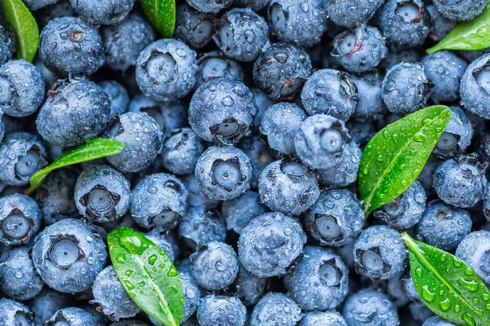 What are your favorite berries?