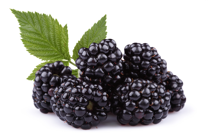 What are your favorite berries?