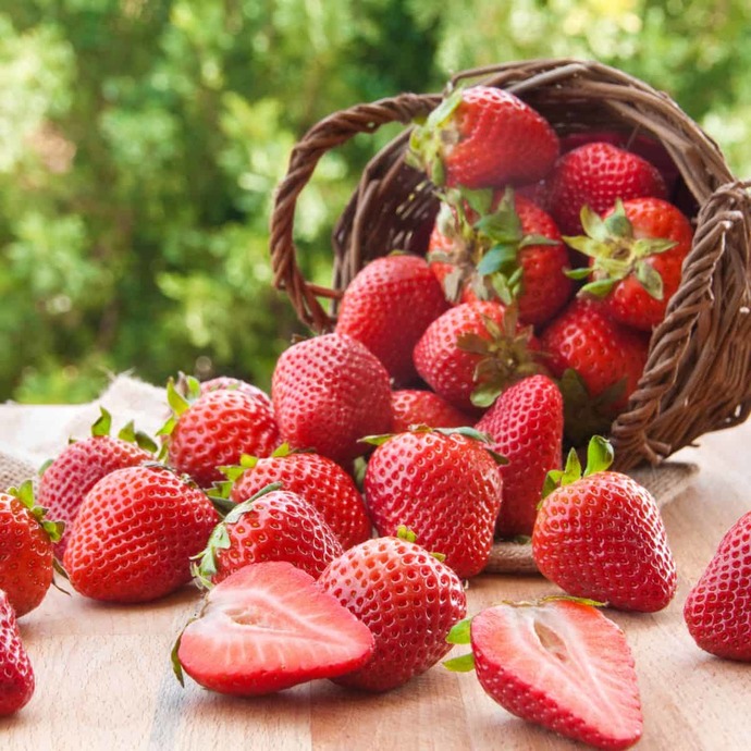 What are your favorite berries?