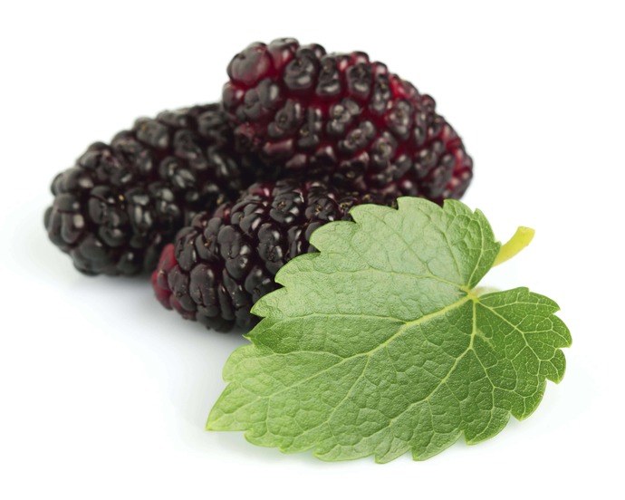 What are your favorite berries?