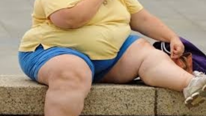 What do you believe is the main cause of Americas obesity epidemic?
