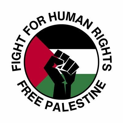 Do you think that Palestine screwed the pooch when they attacked Israel on October 7th?