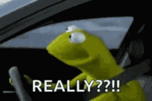 What is the last thing that made you crack a genuine smile?