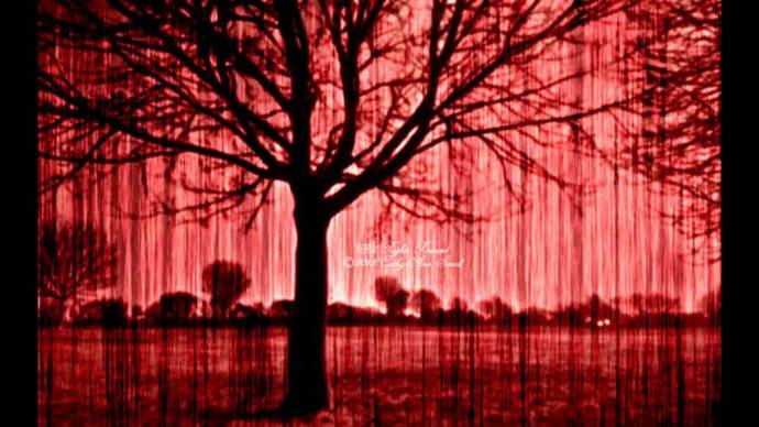 If raindrops weren’t a thing, what would you want to fall from the sky?