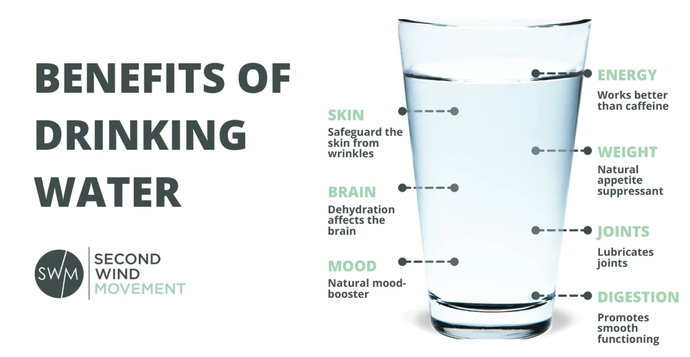Can increasing water intake make your skin more plump and youthful?