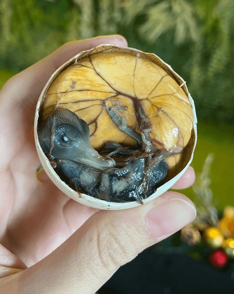 🥚🐣
