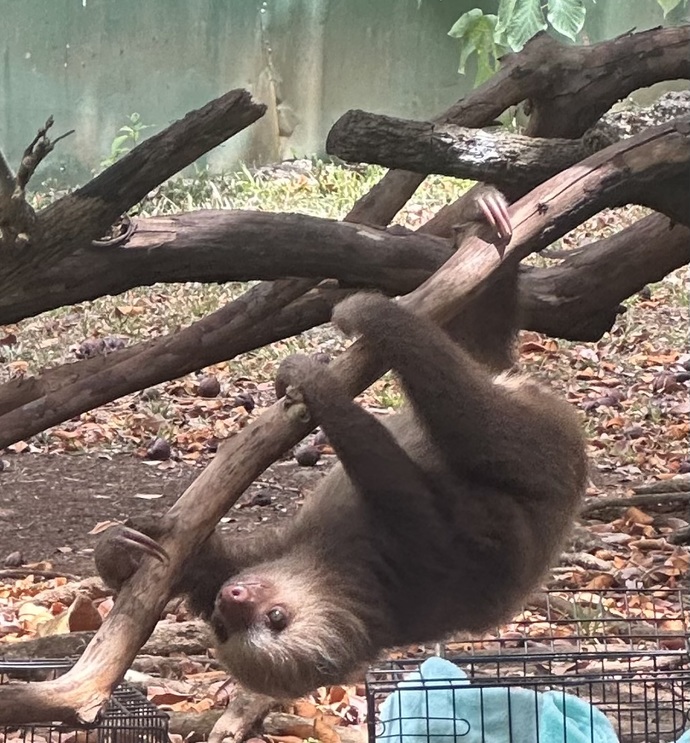 I am on day 8 of my 22 day cruise, what do you think of these zoo photos?
