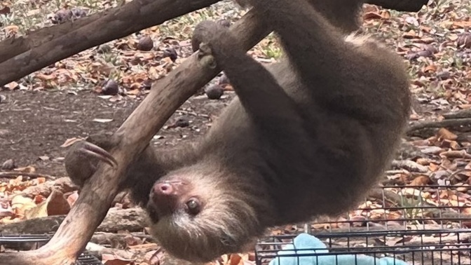 I am on day 8 of my 22 day cruise, what do you think of these zoo photos?