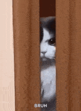 Have you ever smelled something and been transported back to a specific moment in your life?