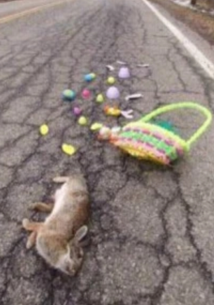 Do you celebrate Easter, April 20th?