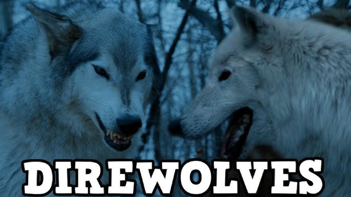 Are you ready for Dire Wolves to make a come back?