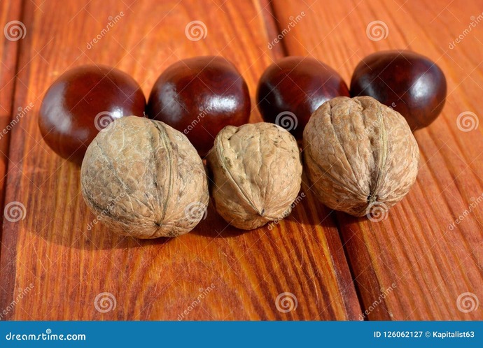 Whats your favorite nut?